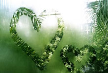 TF gaming-沪上球队赢得胜利，聚光灯下备受关注