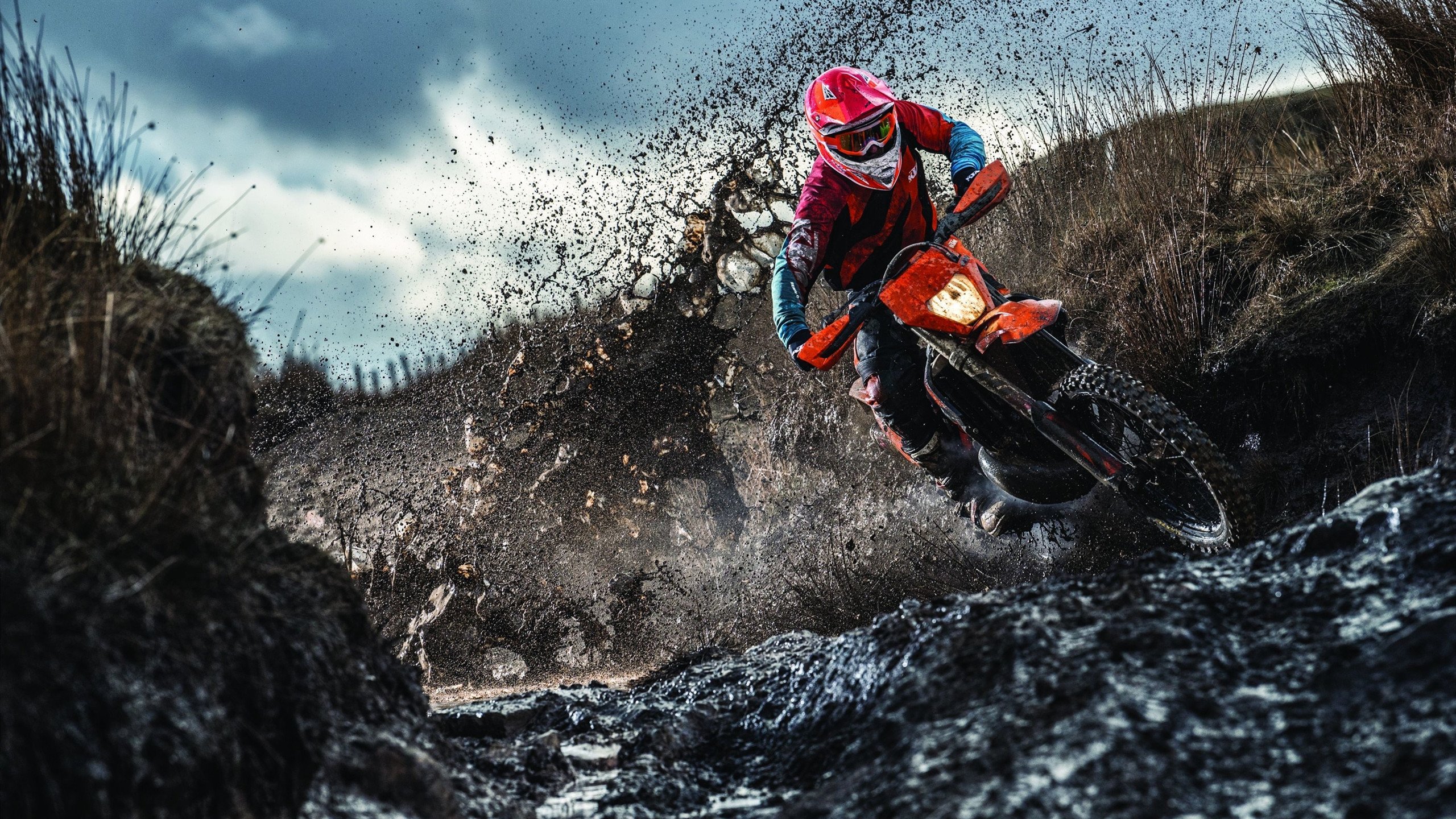 年度焦点之战之夜,保罗点燃赛场